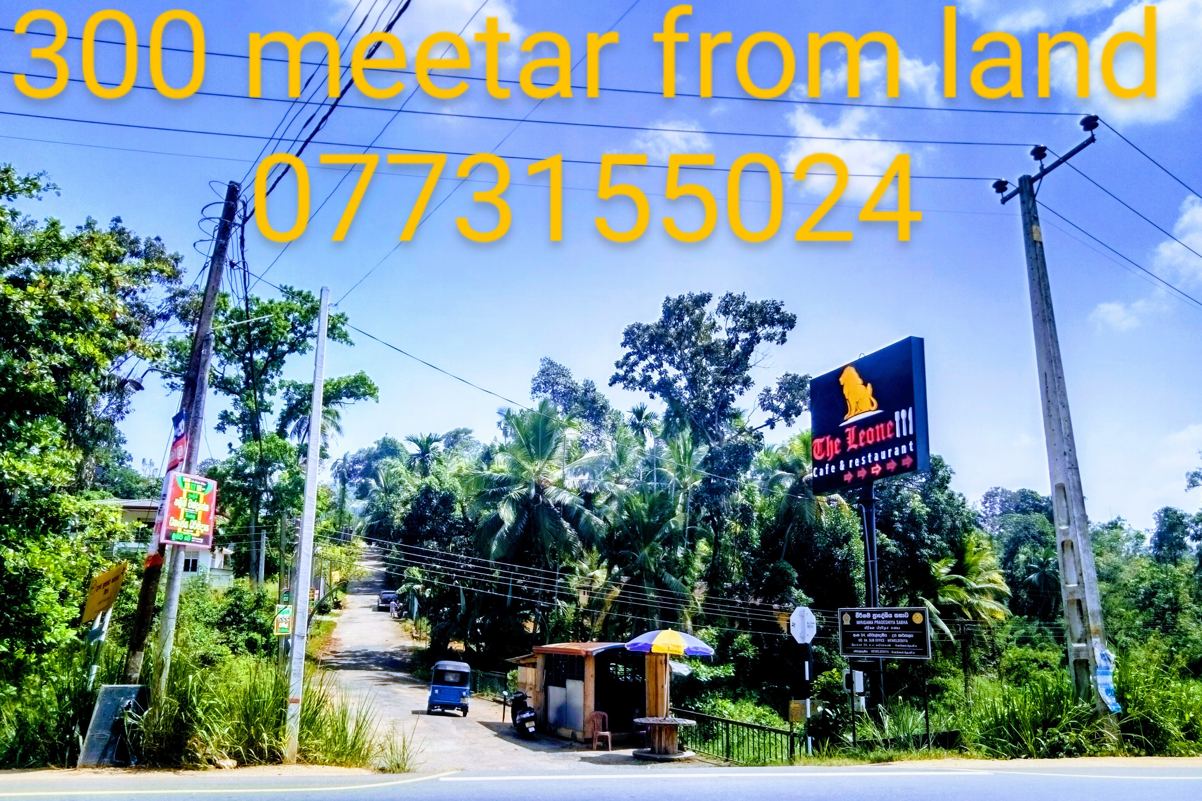 Other Images